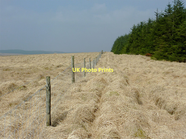 Photo 6"x4" Moorland and forest north-west of Soar-y-Mynydd, Ceredigion Camddwr\/SN7754 c2011