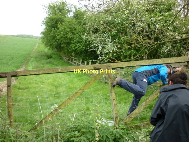 Photo 6"x4" No we are not trespassing Fimber c2011