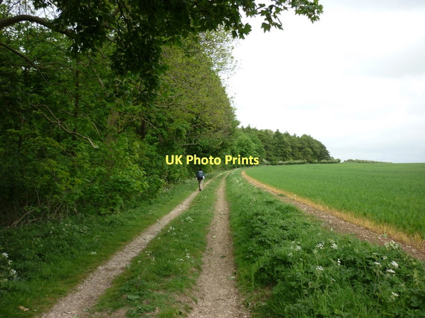 Photo 6"x4" A farm track near Egg Dale Towthorpe\/SE9062 c2011