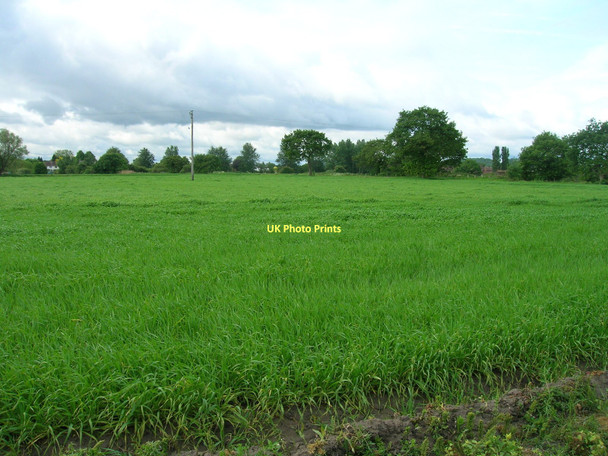 Photo 6"x4" Farmland off Cross Hills Lane Selby c2011
