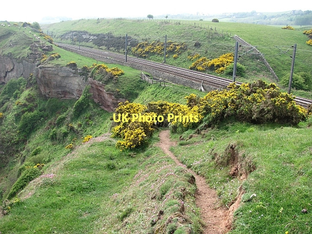 Photo 6"x4" Berwickshire Coast Path Marshall Meadows c2011