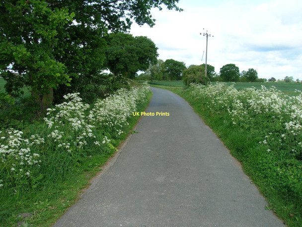 Photo 6"x4" Black Fen Lane Selby c2011