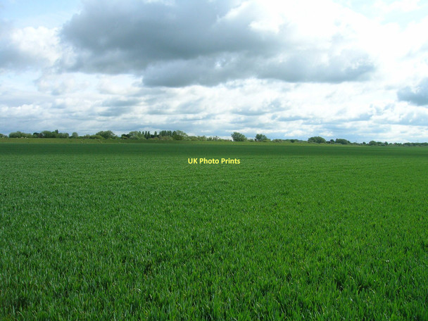 Photo 6"x4" Farmland near the River Ouse Barlby c2011