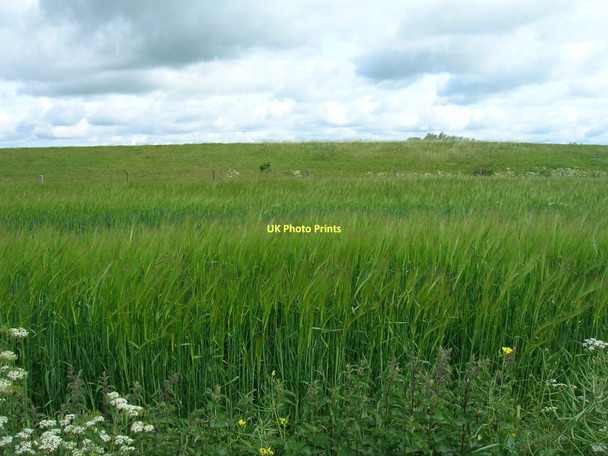 Photo 6"x4" Farmland near Ivy Grange Dawker Hill c2011
