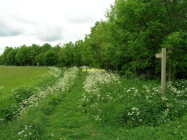 Photo 6"x4" Footpath off Marsh Lane Cawood c2011