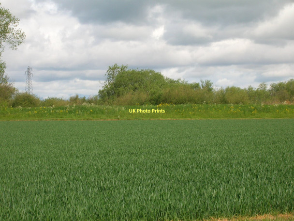 Photo 6"x4" Farmland off Ings Lane Dawker Hill c2011