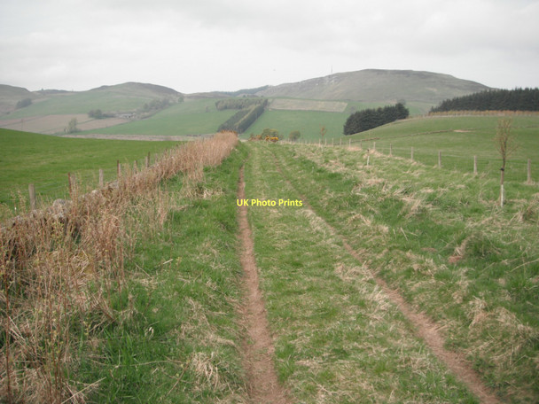 Photo 6"x4" Track near Lundie Lundie\/NO2936 c2011