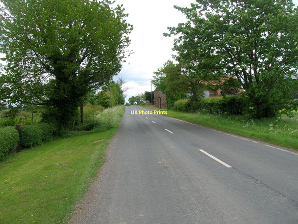 Photo 6"x4" Sherburn Road towards Selby Thorpe Wood\/SE5832 c2011