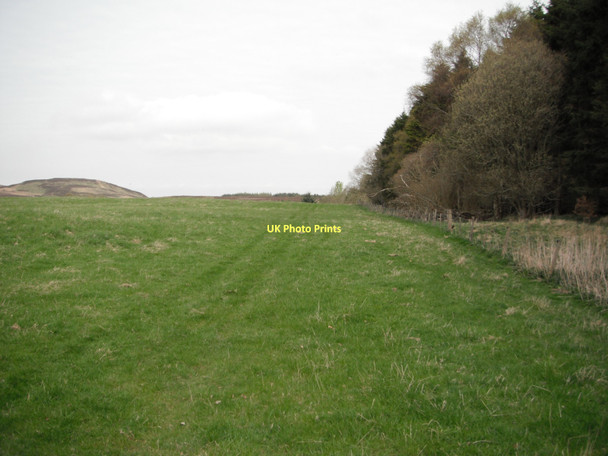 Photo 6"x4" Track leading to Burnside Quarry Newtyle\/NO2941 c2011