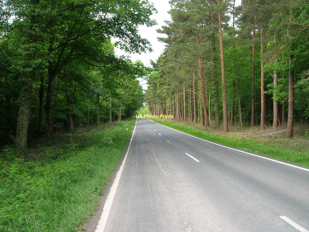 Photo 6"x4" Minor Road through Bishop Wood Biggin\/SE5434 c2011