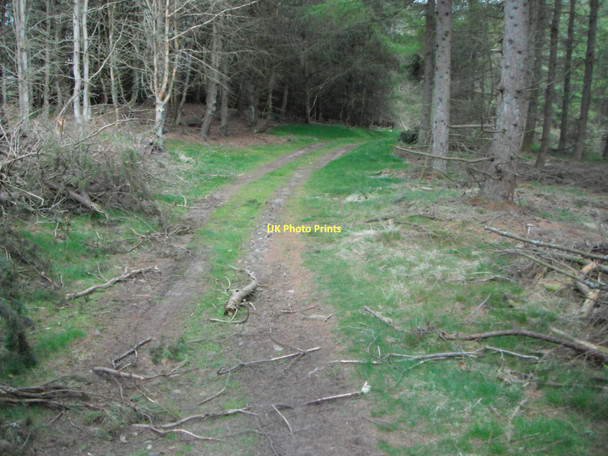 Photo 6"x4" Track to Burnside Quarry Newtyle\/NO2941 c2011