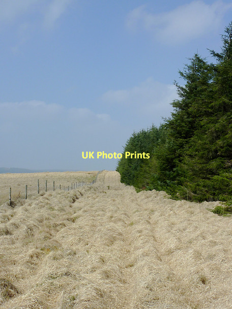 Photo 6"x4" Moorland and forest north-west of Soar-y-Mynydd, Ceredigion Camddwr\/SN7754 c2011