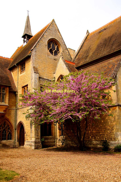 Photo 6"x4" Tree in blossom at Ripon College Cuddesdon c2011