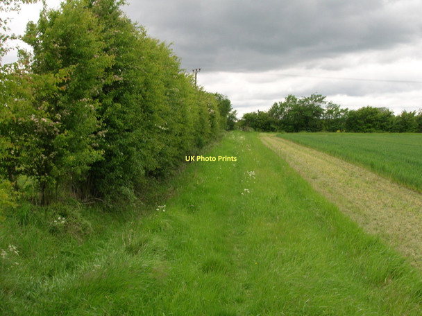Photo 6"x4" Footpath towards Barkston Ash Barkston Ash c2011