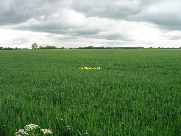 Photo 6"x4" Farmland, Little Fenton Little Fenton c2011