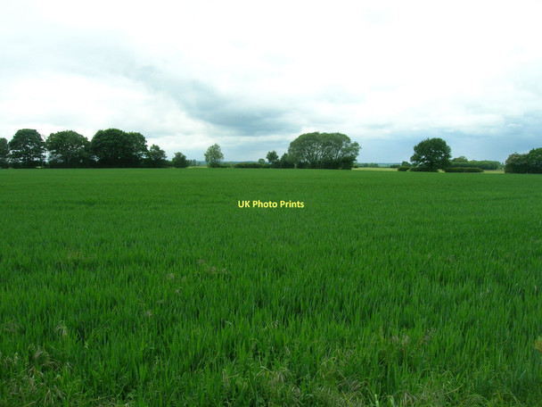 Photo 6"x4" Farmland off Oxmoor Lane Little Fenton c2011
