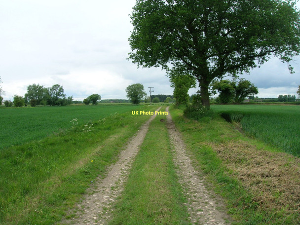 Photo 6"x4" Farm Track off Broad Lane Cawood c2011