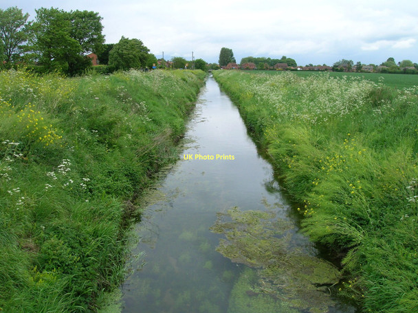 Photo 6"x4" Bishop Dike near Cawood Cawood c2011
