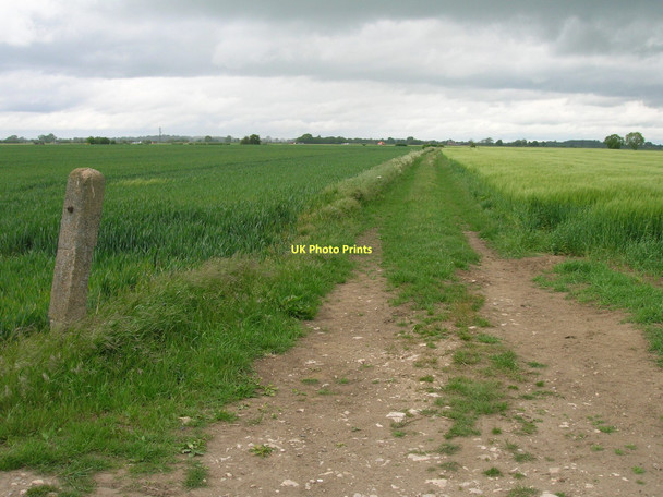 Photo 6"x4" Farm track off Moor Lane Church Fenton c2011