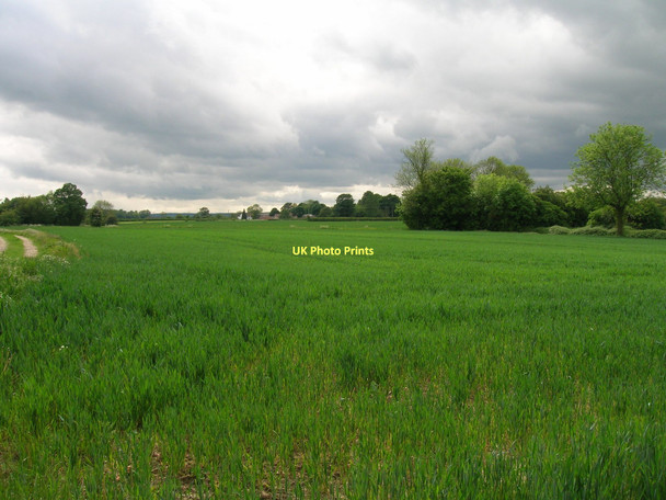 Photo 6"x4" Farmland, Church Fenton Church Fenton c2011