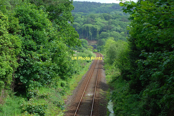 Photo 6"x4" The Cambrian in spring Eglwys Fach c2011