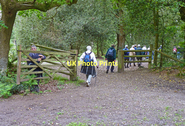 Photo 6"x4" Walkers Entering Norley Inclosure Norleywood c2011