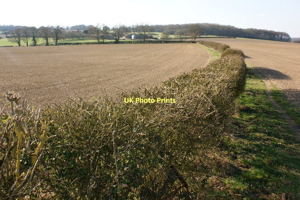 Photo 6"x4" Footpath near Days Wood Stratton Chase c2011
