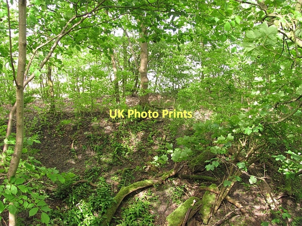 Photo 6"x4" Embankment, Throsk Alloa c2011
