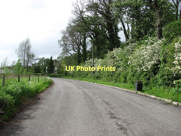 Photo 6"x4" Old road alignment, Throsk Throsk c2011