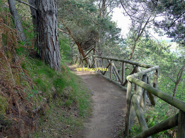 Photo 6"x4" Footpath up South Sutor Cromarty\/NH7867 c2011