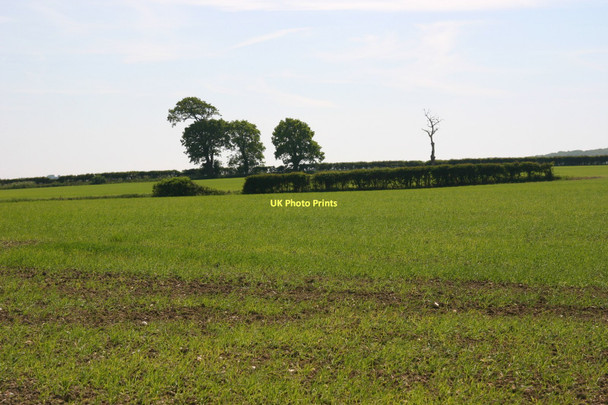 Photo 6"x4" Greenwich Meridian in Pond Field Cooksbridge c2011