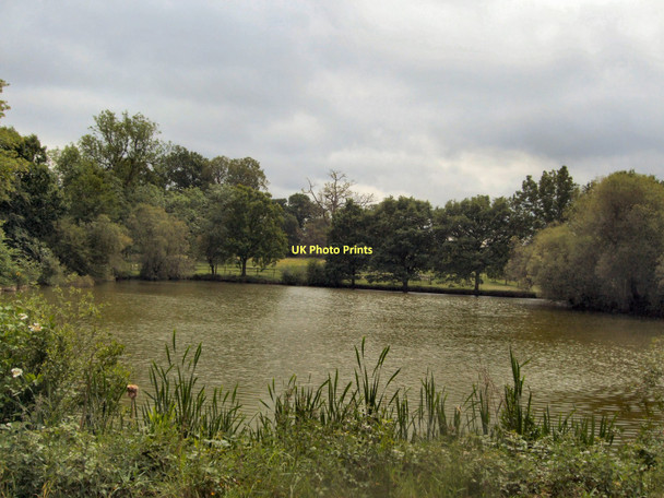 Photo 6"x4" The Lake - Loseley Park Guildford c2011
