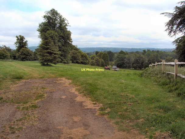 Photo 6"x4" Field south of Loseley House Guildford c2011