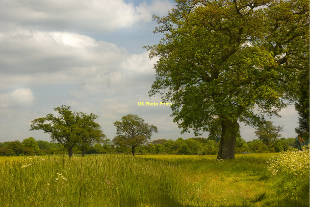 Photo 6"x4" Titsey Field Titsey c2011