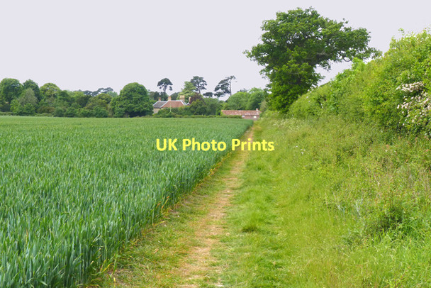 Photo 6"x4" The Solent Way East End\/SZ3697 c2011