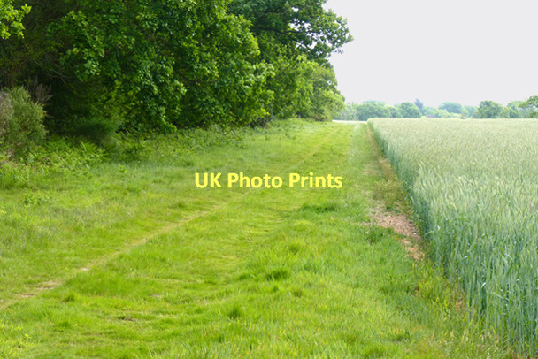 Photo 6"x4" The Solent Way East End\/SZ3697 c2011