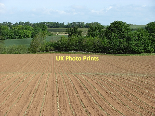 Photo 6"x4" New crops, East Linton East Linton c2011
