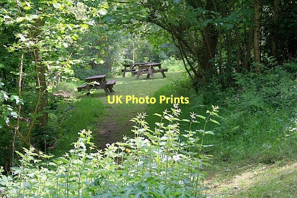 Photo 6"x4" Picnic Spot East Ayton c2011