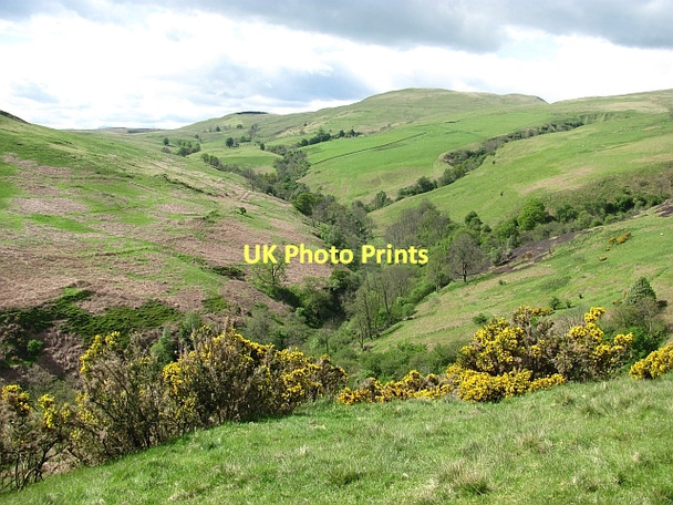 Photo 6"x4" Menstrie Glen Menstrie c2011