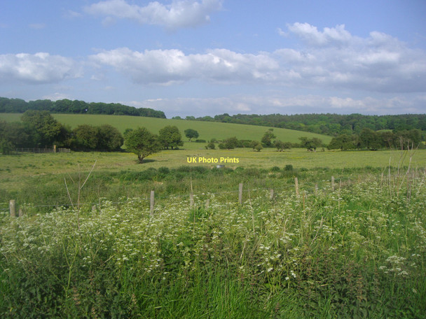 Photo 6"x4" Fields by Dagnall Road Great Gaddesden Great Gaddesden c2011