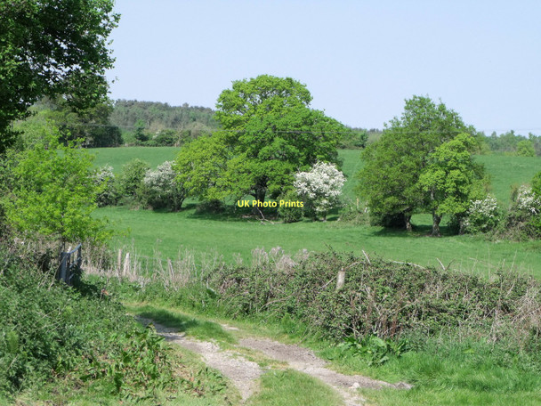 Photo 6"x4" Public footpath at Rackham, West Sussex Cross Gate\/TQ0413 c2011