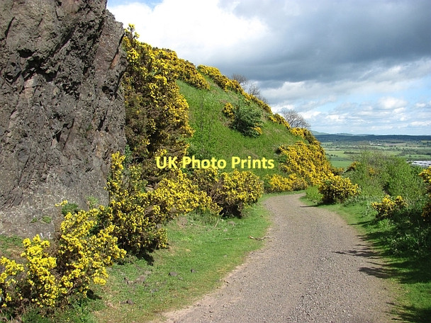 Photo 6"x4" Basalt crag above Menstrie Menstrie c2011