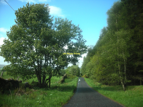 Photo 6"x4" Unclassified Road Greenloaning\/NN8307 c2009