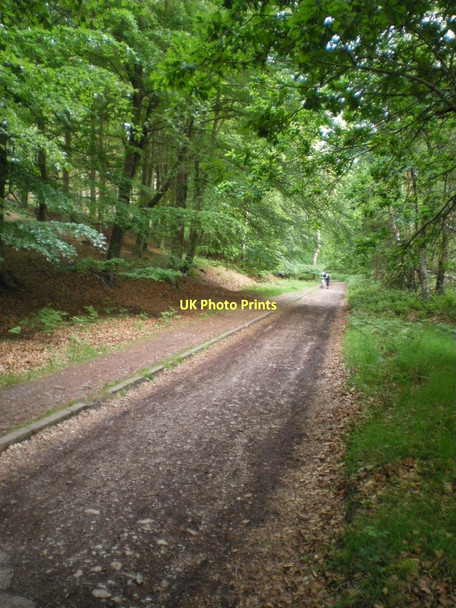 Photo 6"x4" Looking down Kitbag Hill Pye Green c2011