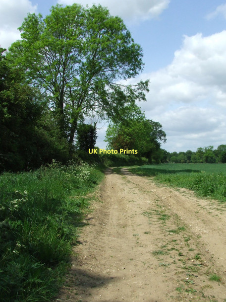 Photo 6"x4" Peddars Way Watton\/TF9100 c2011
