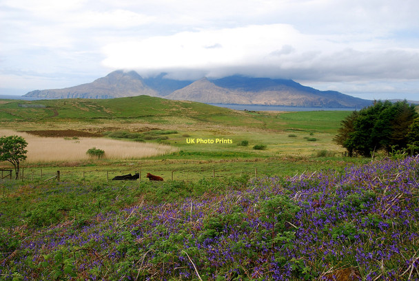Photo 6"x4" Grazing Land Cleadale c2011