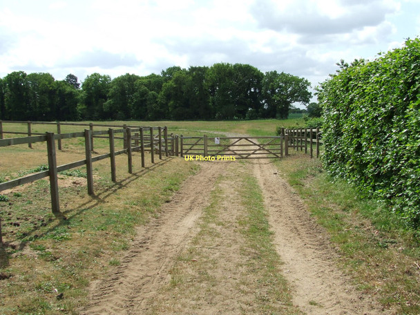 Photo 6"x4" Gate On Route Watton\/TF9100 c2011