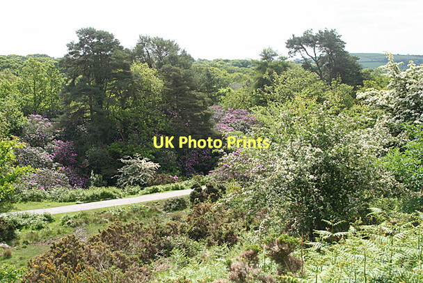 Photo 6"x4" South Brent: Avon valley Didworthy c2011
