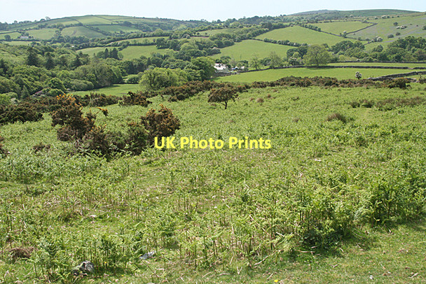 Photo 6"x4" South Brent: bracken and gorse Didworthy c2011