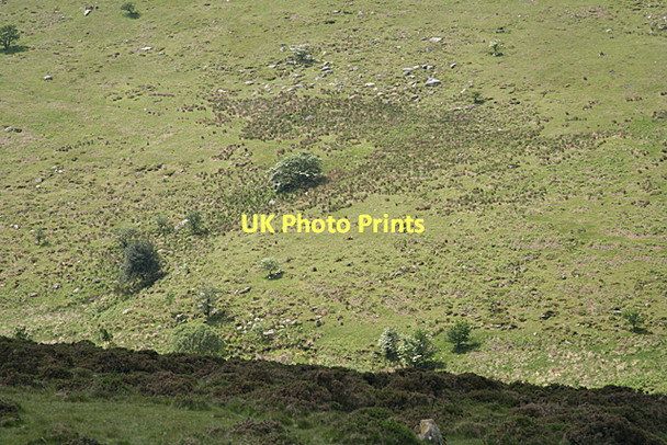 Photo 6"x4" South Brent: Old Hill Didworthy c2011